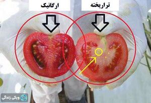 تراریخته.jpg