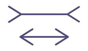 خطای ادراکی مولر – لایر.jpg
