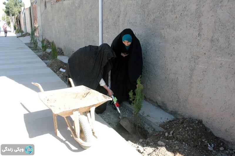 پرونده:میله نهالشانی.jpg