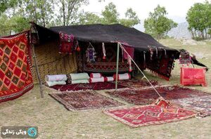 سیاه-چادر2.jpg